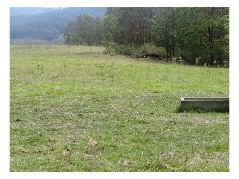 4930 Paddys Flat Road, Urbenville NSW 2475