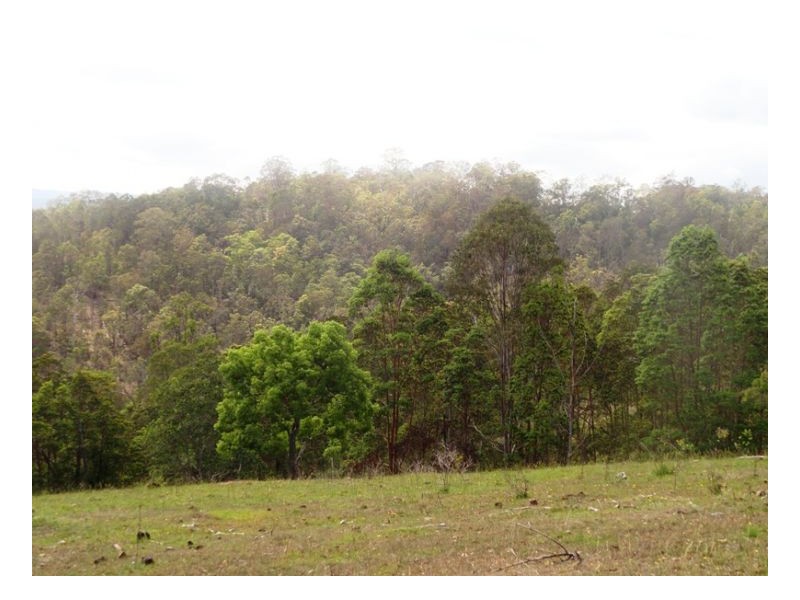 4930 Paddys Flat Road, Urbenville NSW 2475