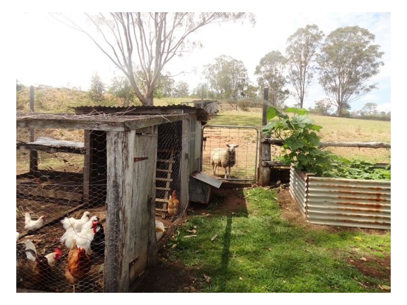 4930 Paddys Flat Road, Urbenville NSW 2475