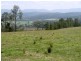 4929 Upper Tooloom Road, Tenterfield NSW 2372