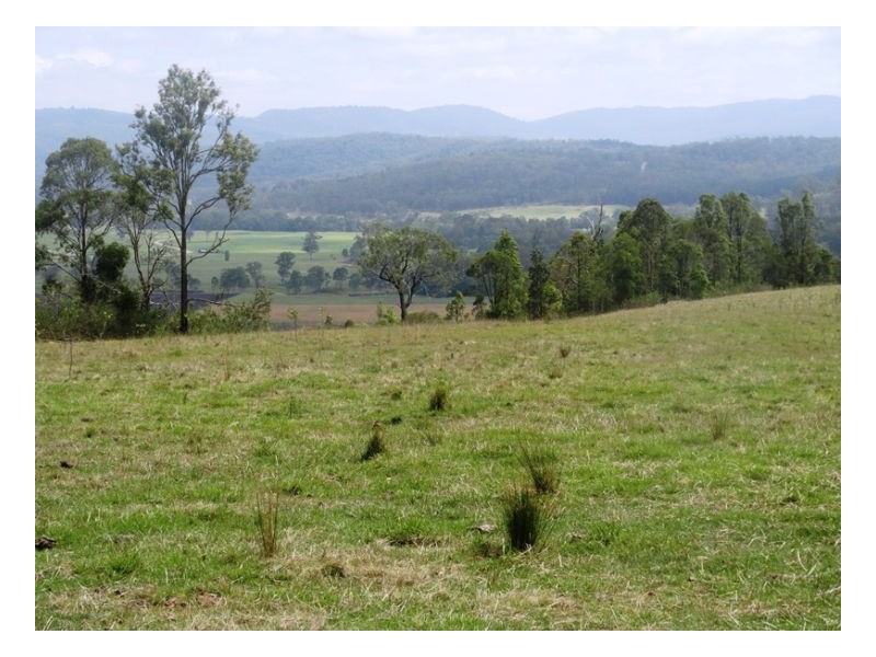 4929 Upper Tooloom Road, Tenterfield NSW 2372