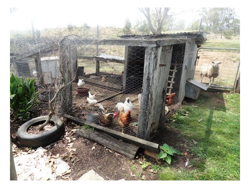 4929 Upper Tooloom Road, Tenterfield NSW 2372