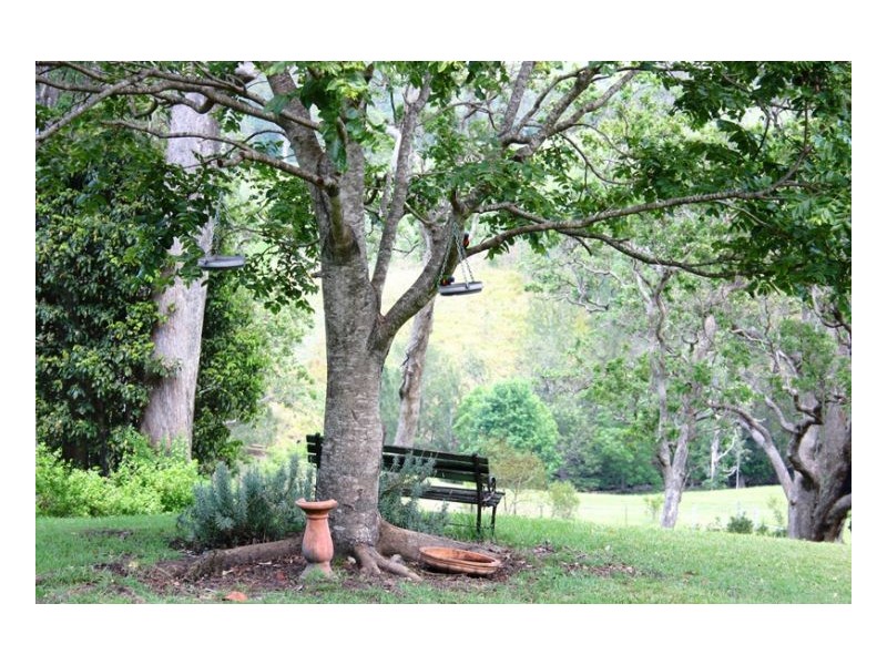 214 Blackhorse Creek Road, Kyogle NSW 2474