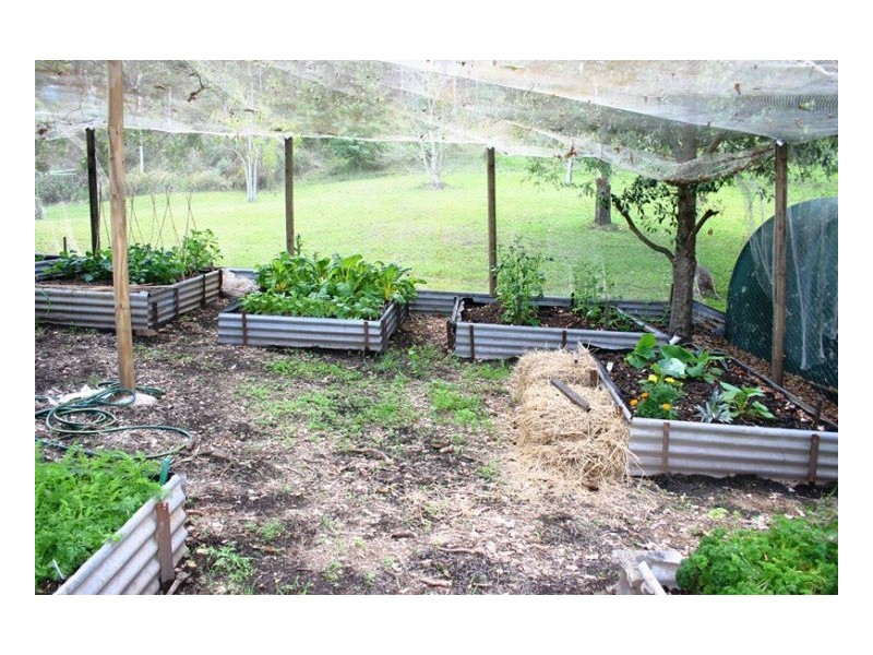 214 Blackhorse Creek Road, Kyogle NSW 2474