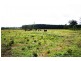 Lots 9 & 10 Old Tenterfield Road, Casino NSW 2470
