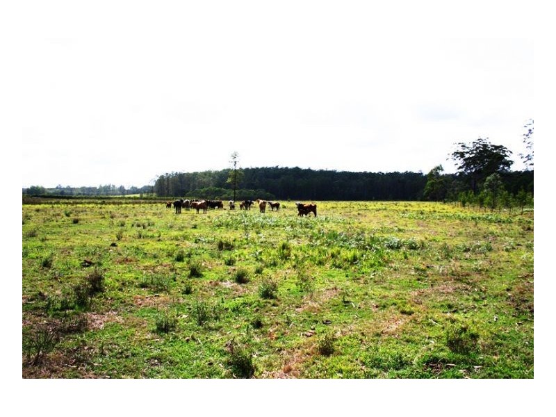 Lots 9 & 10 Old Tenterfield Road, Casino NSW 2470