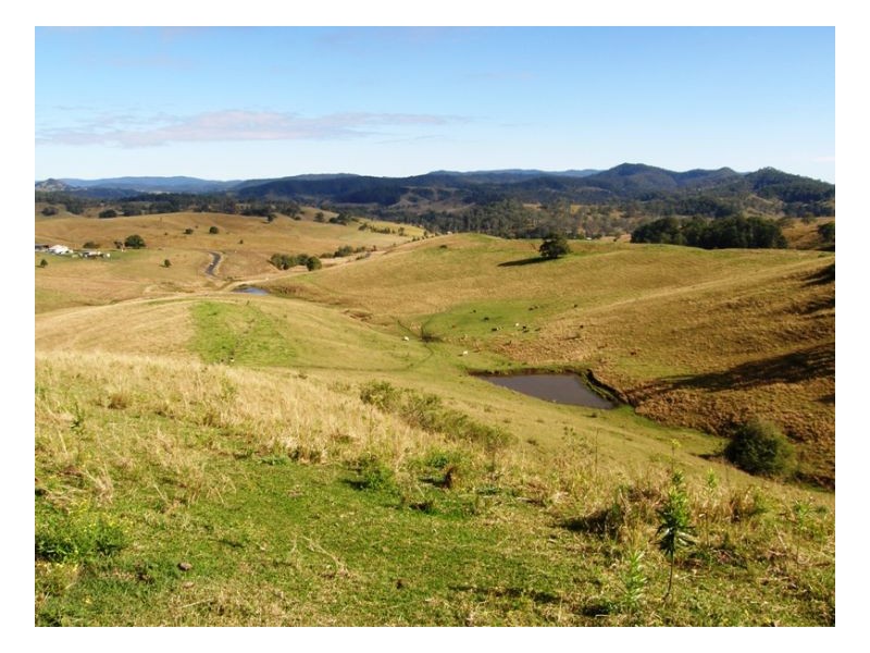 Lot 571 Afterlee Road, Kyogle NSW 2474