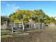 Lot 571 Afterlee Road, Kyogle NSW 2474