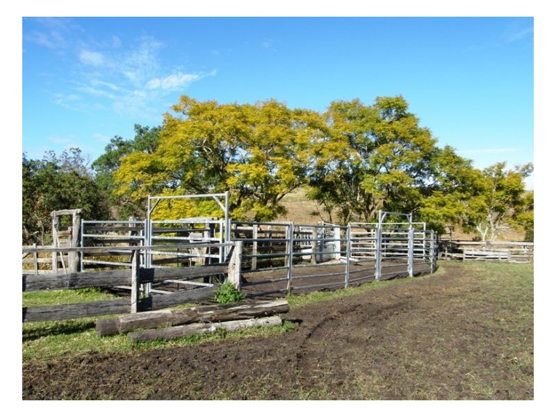 Lot 571 Afterlee Road, Kyogle NSW 2474