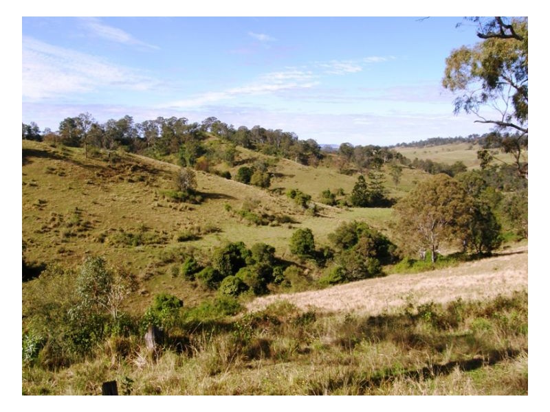 Lot 571 Afterlee Road, Kyogle NSW 2474
