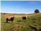 Lot 571 Afterlee Road, Kyogle NSW 2474