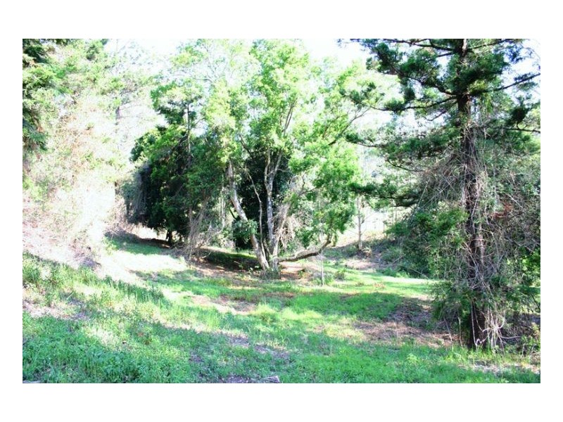 982 Homeleigh, Kyogle NSW 2474