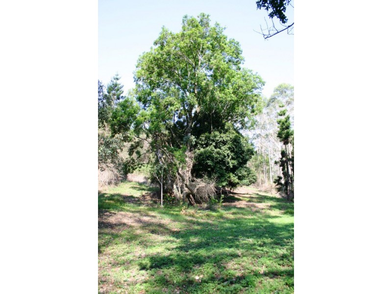 982 Homeleigh, Kyogle NSW 2474