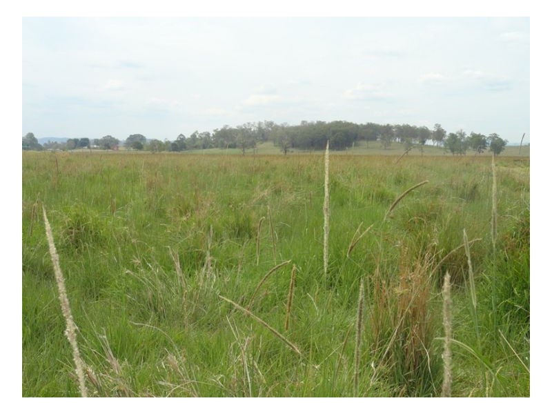 Lot 1 Summerland Way, Kyogle NSW 2474
