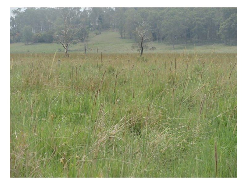 Lot 1 Summerland Way, Kyogle NSW 2474