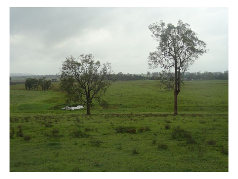 Lot 1 Summerland Way, Kyogle NSW 2474