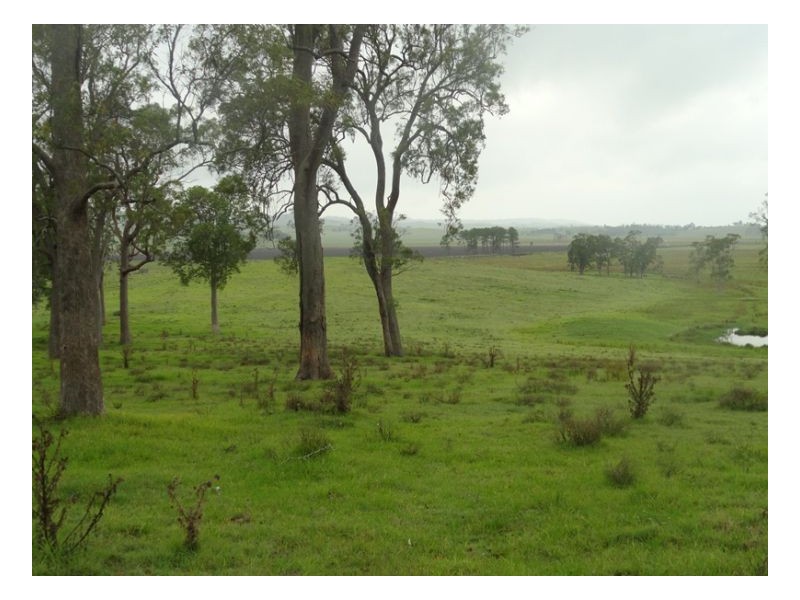 Lot 1 Summerland Way, Kyogle NSW 2474