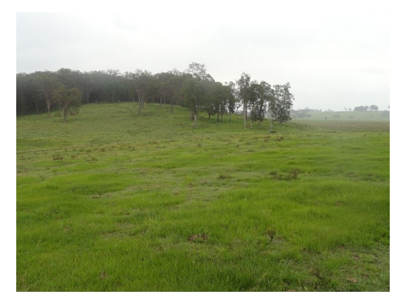 Lot 1 Summerland Way, Kyogle NSW 2474