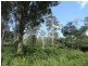 2250 Paddys Flat Road, Kyogle NSW 2474