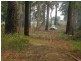 2250 Paddys Flat Road, Kyogle NSW 2474