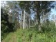 2250 Paddys Flat Road, Kyogle NSW 2474