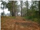 2250 Paddys Flat Road, Kyogle NSW 2474