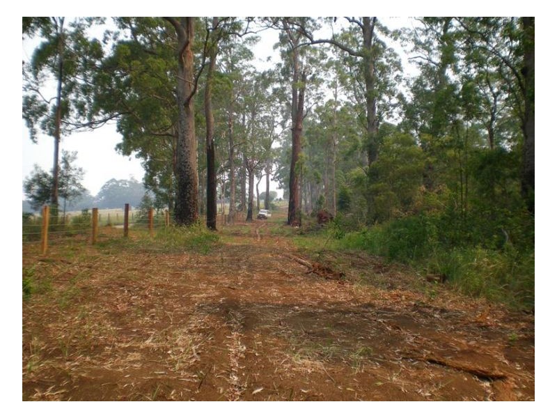 2250 Paddys Flat Road, Kyogle NSW 2474