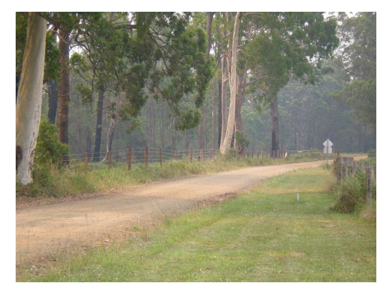 2250 Paddys Flat Road, Kyogle NSW 2474
