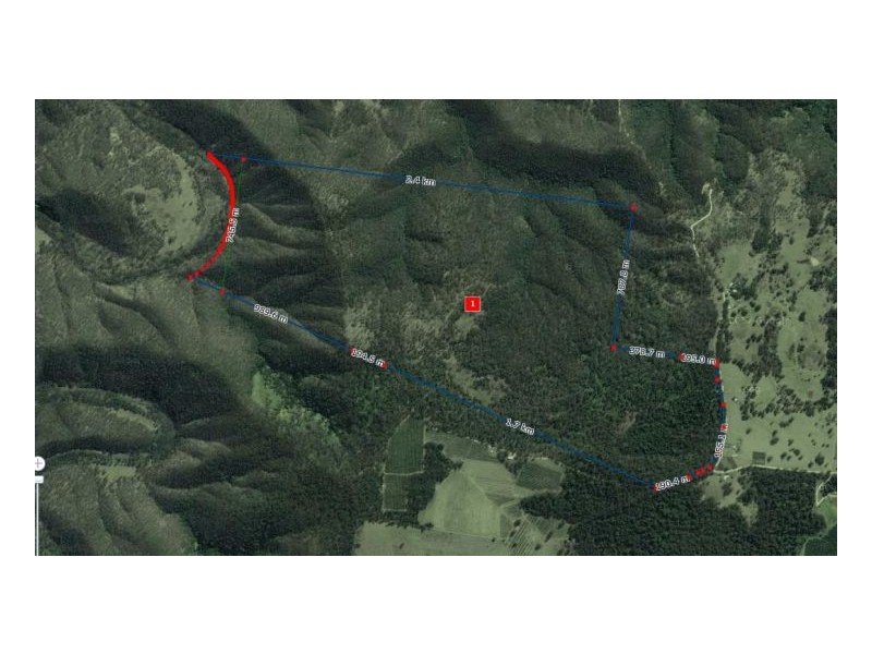 2250 Paddys Flat Road, Kyogle NSW 2474