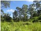 2250 Paddys Flat Road, Kyogle NSW 2474