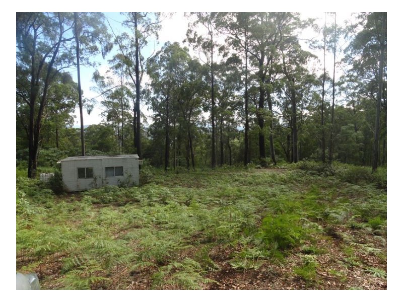 2250 Paddys Flat Road, Kyogle NSW 2474