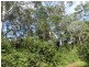2250 Paddys Flat Road, Kyogle NSW 2474
