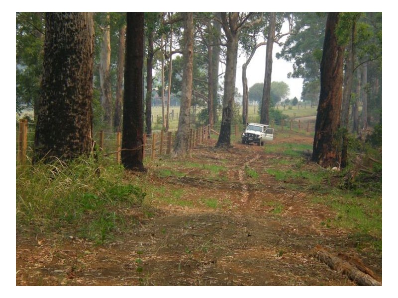 2250 Paddys Flat Road, Tenterfield NSW 2372