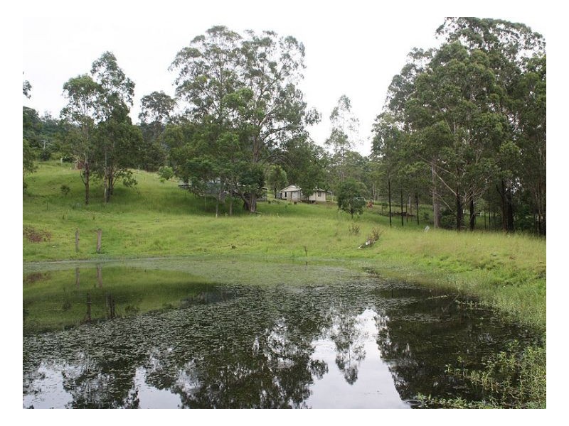 143 Newtons Road, Kyogle NSW 2474