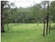 143 Newtons Road, Kyogle NSW 2474