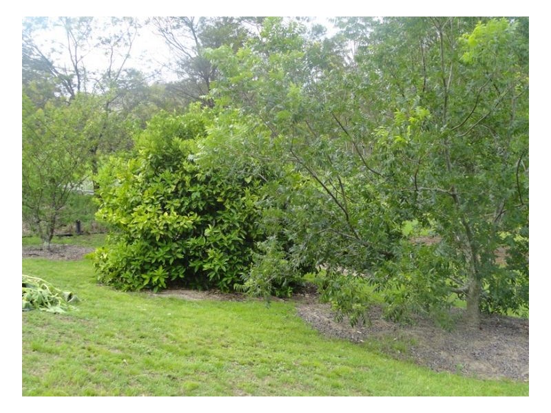 143 Newtons Road, Kyogle NSW 2474