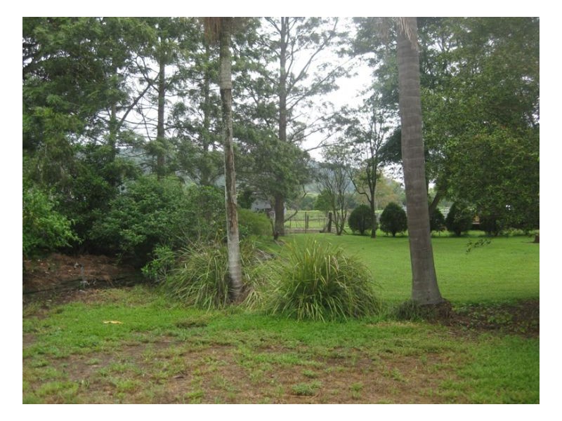 54 Findon Creek Road, Findon Creek NSW 2474