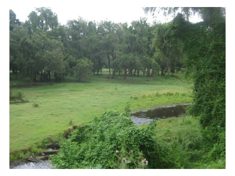 54 Findon Creek Road, Findon Creek NSW 2474