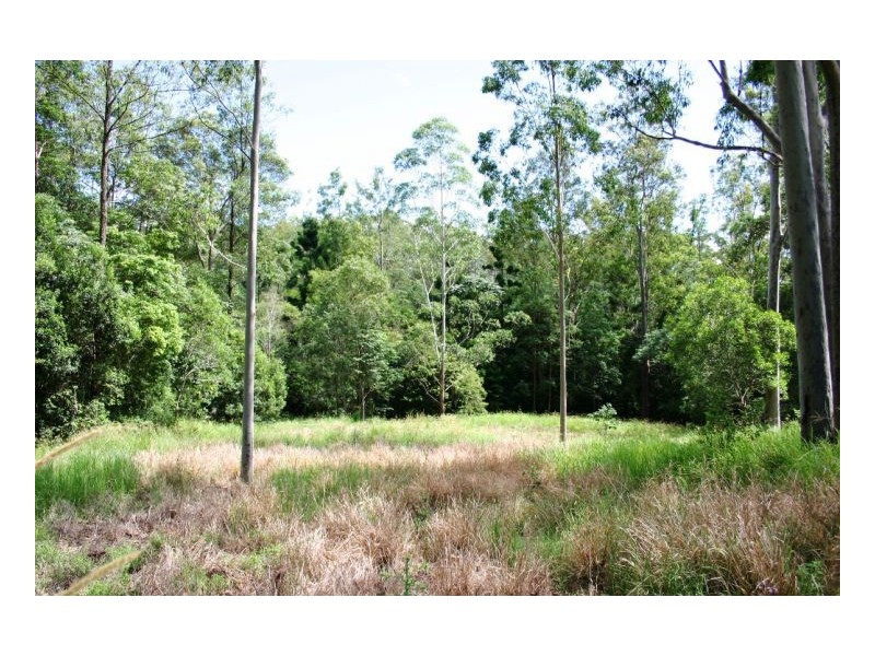 116 Newtons Road, Kyogle NSW 2474