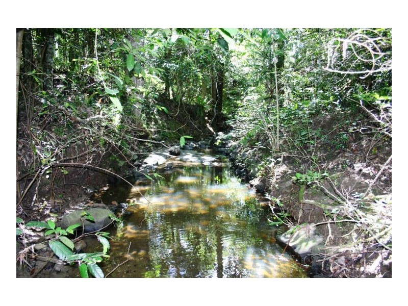 116 Newtons Road, Kyogle NSW 2474