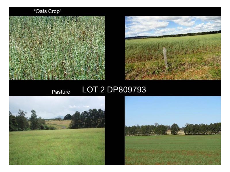 95 Fairy Hill School Road, Casino NSW 2470