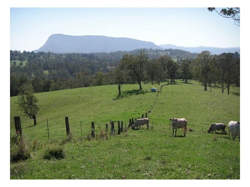 183 Williams Road, Kyogle NSW 2474