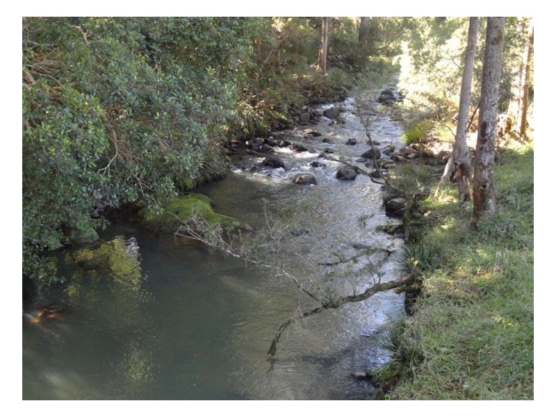 183 Williams Road, Kyogle NSW 2474