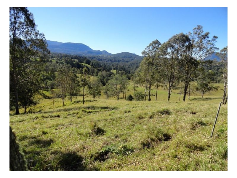 183 Williams Road, Kyogle NSW 2474