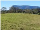 183 Williams Road, Kyogle NSW 2474
