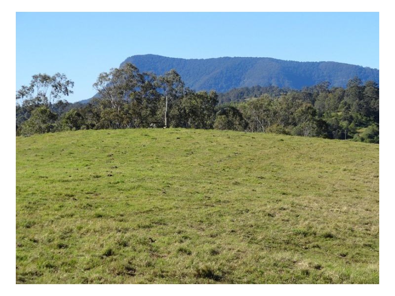 183 Williams Road, Kyogle NSW 2474