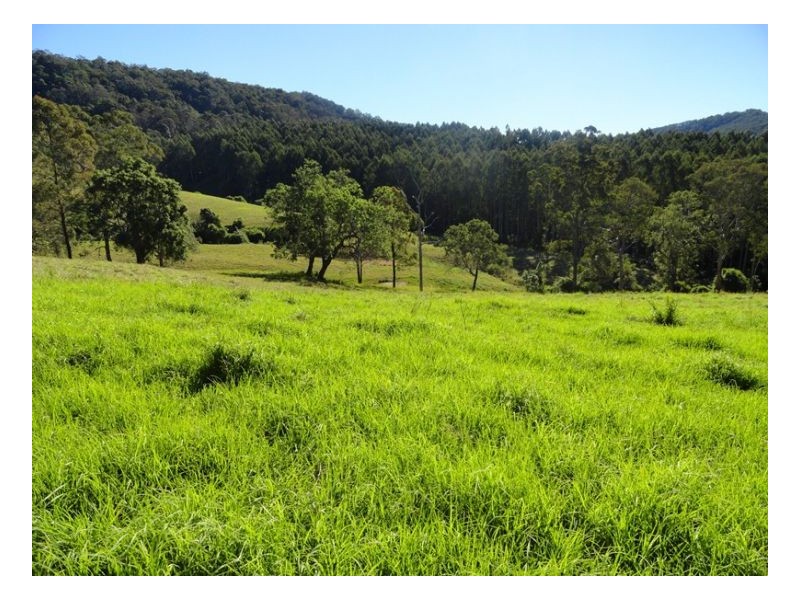 183 Williams Road, Kyogle NSW 2474
