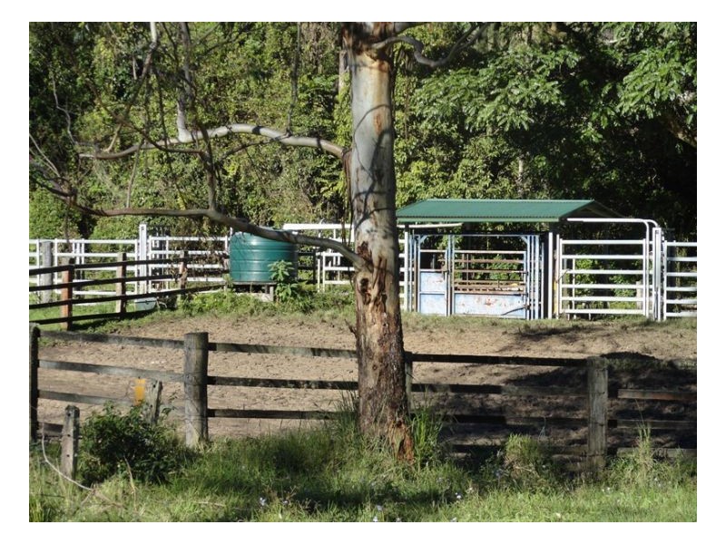 183 Williams Road, Kyogle NSW 2474