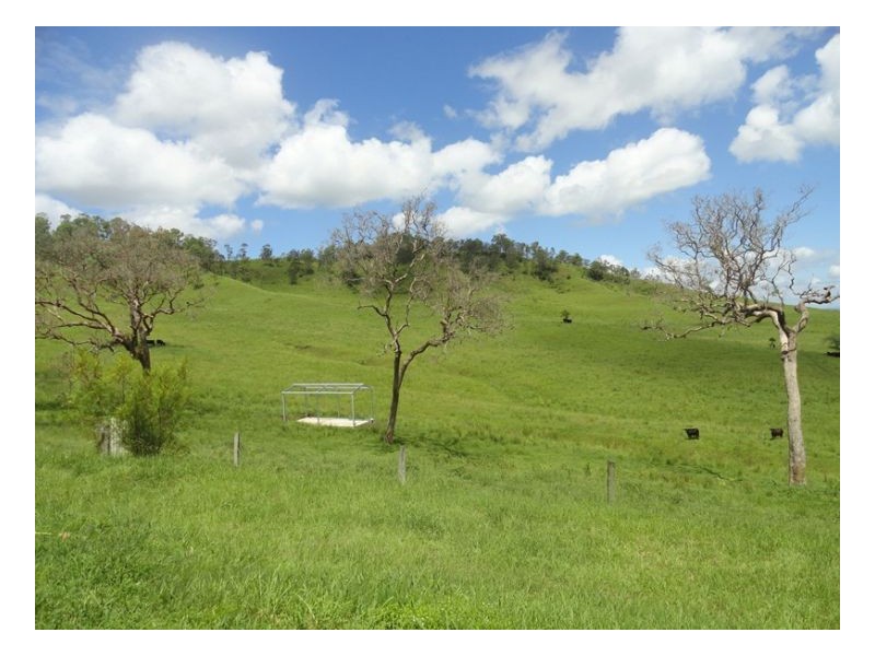 78 Durhams Road, Kyogle NSW 2474