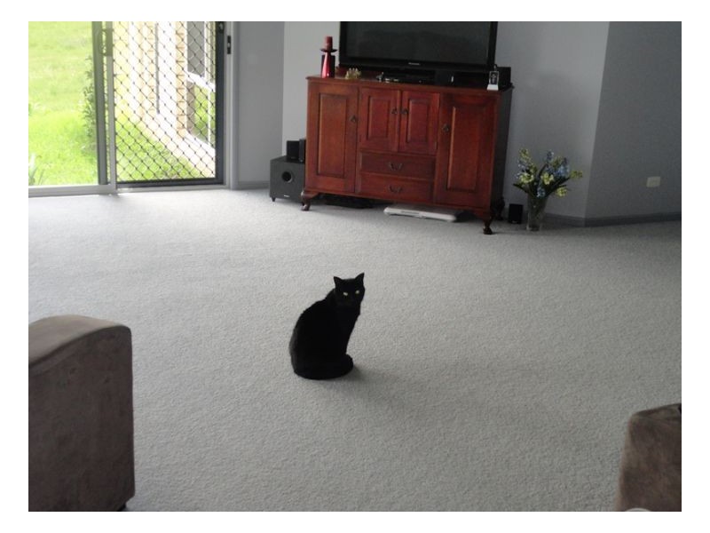 78 Durhams Road, Kyogle NSW 2474